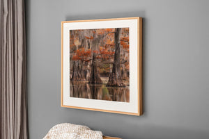 Fotografía enmarcada de una escena de bosque con árboles otoñales sobre una pared gris.