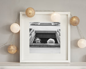 Historic Tuscan building backdrop to wine festival