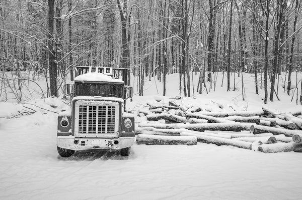 Old truck in winter forest