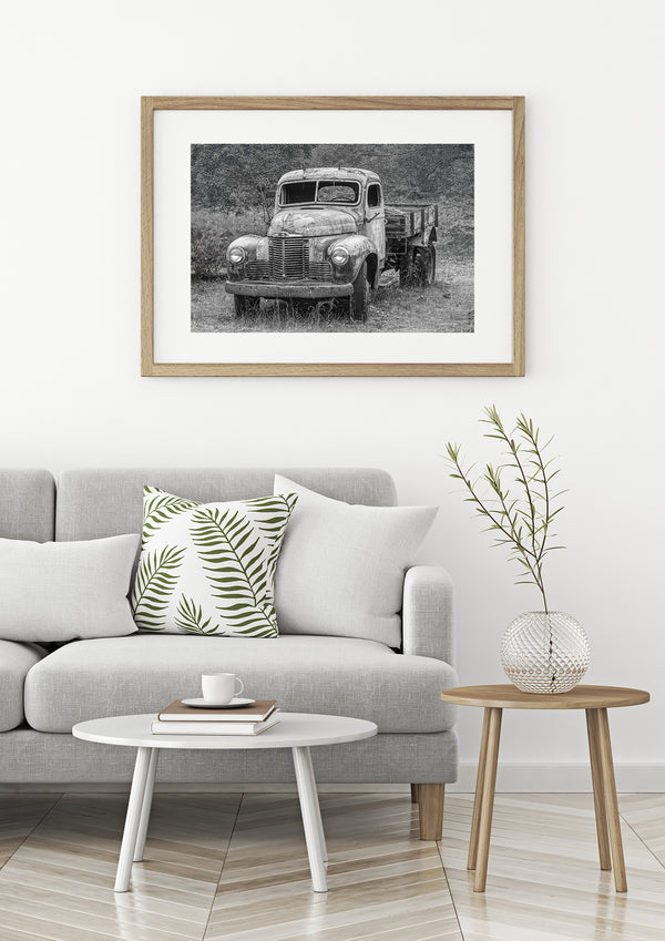 Nostalgic image of vintage truck with cracked windshield in overgrown field