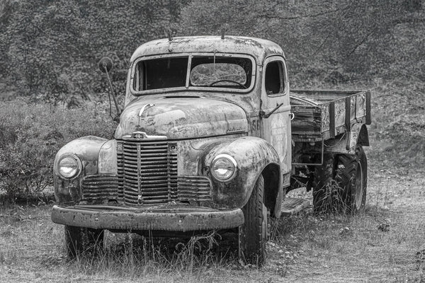 Rusting classic truck in overgrown field, vintage vehicle photography