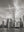 Lower Manhattan skyline beneath wispy clouds in black and white