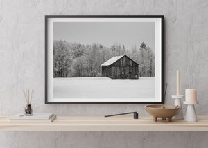 Weathered farm barn surrounded by snowy forest in Ontario winter