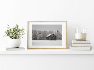 Lonely farm barn standing in fresh snow with trees behind it