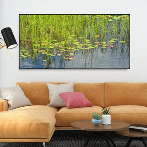 Tall green wetland grass rising through lily-covered Ontario water