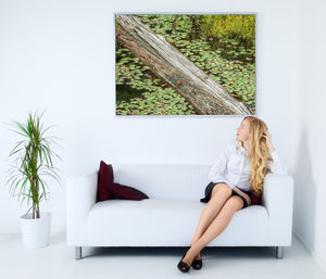 Lily pads and wetland shrubs beside a weathered Ontario log
