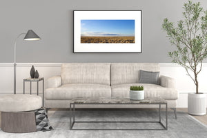Dry grasses and utility poles across a sunlit California landscape