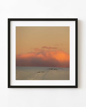 Orange sunset clouds glowing above snow-covered Antarctic hills