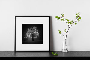 Black and white Oslo night sculpture