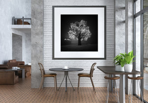 Urban foggy scene with light sculpture