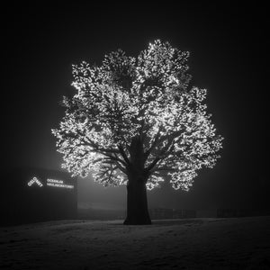 OsloMet campus art installation at night