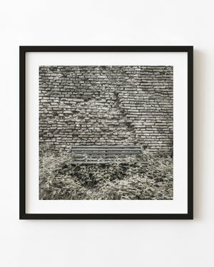 Overgrown wooden bench against a weathered Tuscan brick wall, black and white