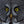Imprimé animalier yeux de hibou