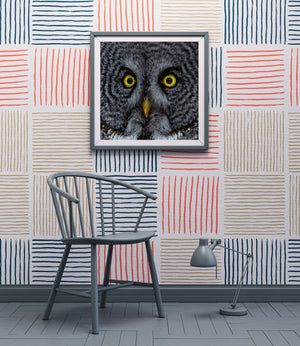 Impression photographique du regard du hibou