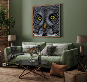 Bird of prey wall art