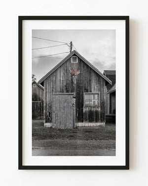 Weathered fishing shed with maple leaf in PEI