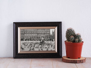 Amsterdam historic plaza with birds and architecture