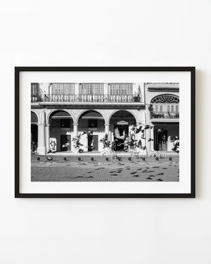 Pigeons flying in Plaza Vieja, Havana