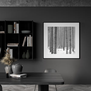 Black and white pine trees wall art