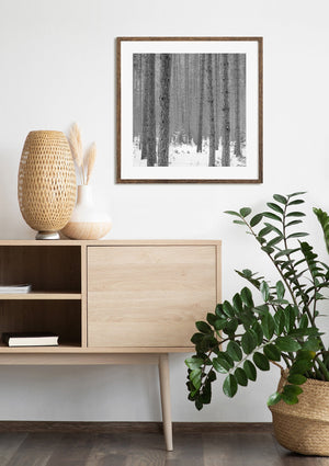 Haliburton County Forest snow landscape