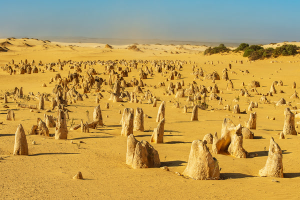 Limestone formations in Pinnacles Desert