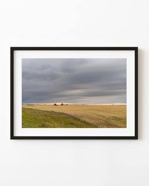 Two combines in a golden prairie field beneath a broad grey sky