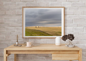 Combines working beneath a heavy grey sky above a golden field