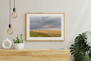 Colour photograph of prairie farmland with a thin warm glow on the horizon