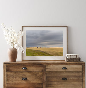 Golden crop field and green verge beneath an expansive cloudy sky
