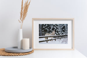 Arte de pared de invierno Caballo blanco manchado en un bosque nevado