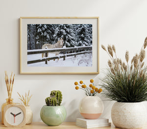 Arte de pared de invierno Caballo blanco manchado en un bosque nevado