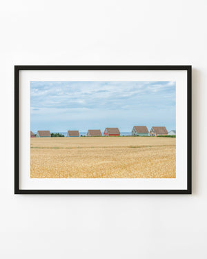 Colourful cottages beyond a golden wheat field on Prince Edward Island