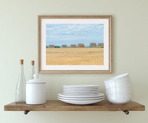 Row of coastal cottages beyond ripening grain with the sea behind
