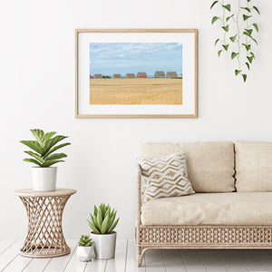 Colour photograph of Prince Edward Island cottages, golden wheat and blue sky