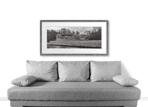 English countryside landscape