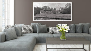 Lush greenery Cotswolds