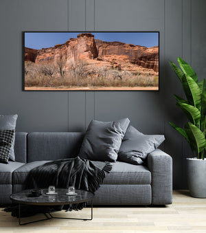 Sunlit canyon cliffs and bare branches beneath a blue sky