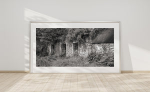 Rough stone walls and empty doorways beneath overgrown branches