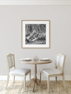 Rock formations in the desert | Photo Art Print fine art photographic print