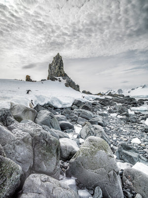 Penguins on icy Antarctic shoreline artwork