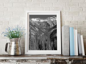 Vertical black and white photograph of a Rocky Mountain valley