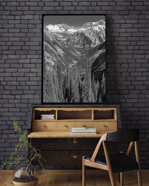 Snowfields and rocky summits above a long forested mountain basin