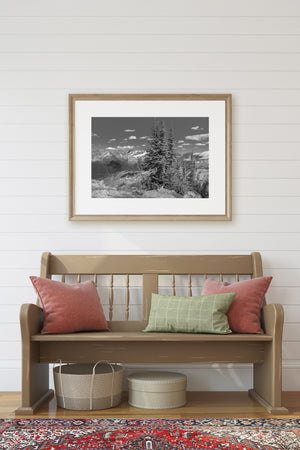 Three tall evergreen trees standing before distant snowy summits