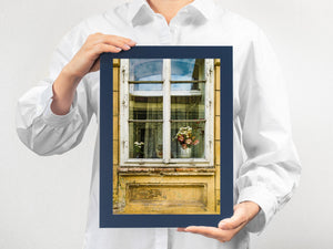 Romanian window scene with cat and vase of flowers
