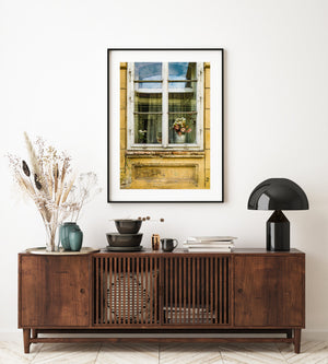 Textured yellow wall and window with indoor flowers and cat