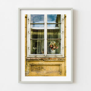 Cat sitting behind window with flowers in Brasov Romania