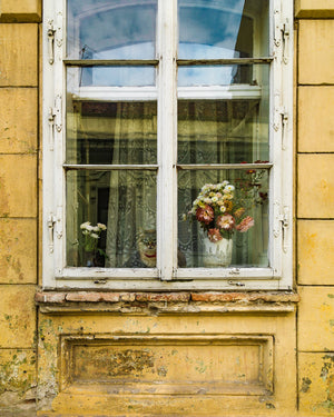 Old yellow wall window with lace curtain and cat inside