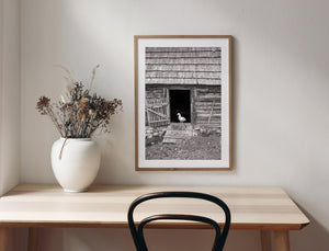 Weathered Romanian farm shed with a duck and a leaning shovel