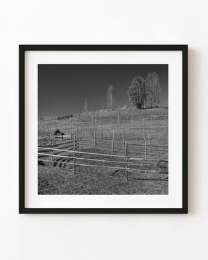 Wooden farm fences crossing a Romanian hillside beneath a clear sky in black and white