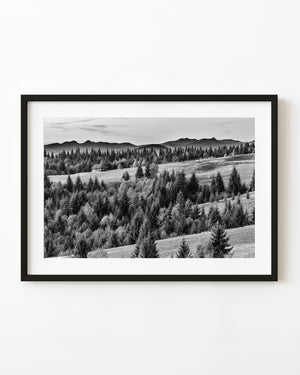 Haystacks and a small wooden shed on a Romanian hillside in black and white